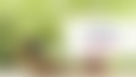 Học bổng du học Mỹ