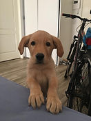 IMG-20190403-WA0002.jpg