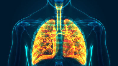 Pulmonology