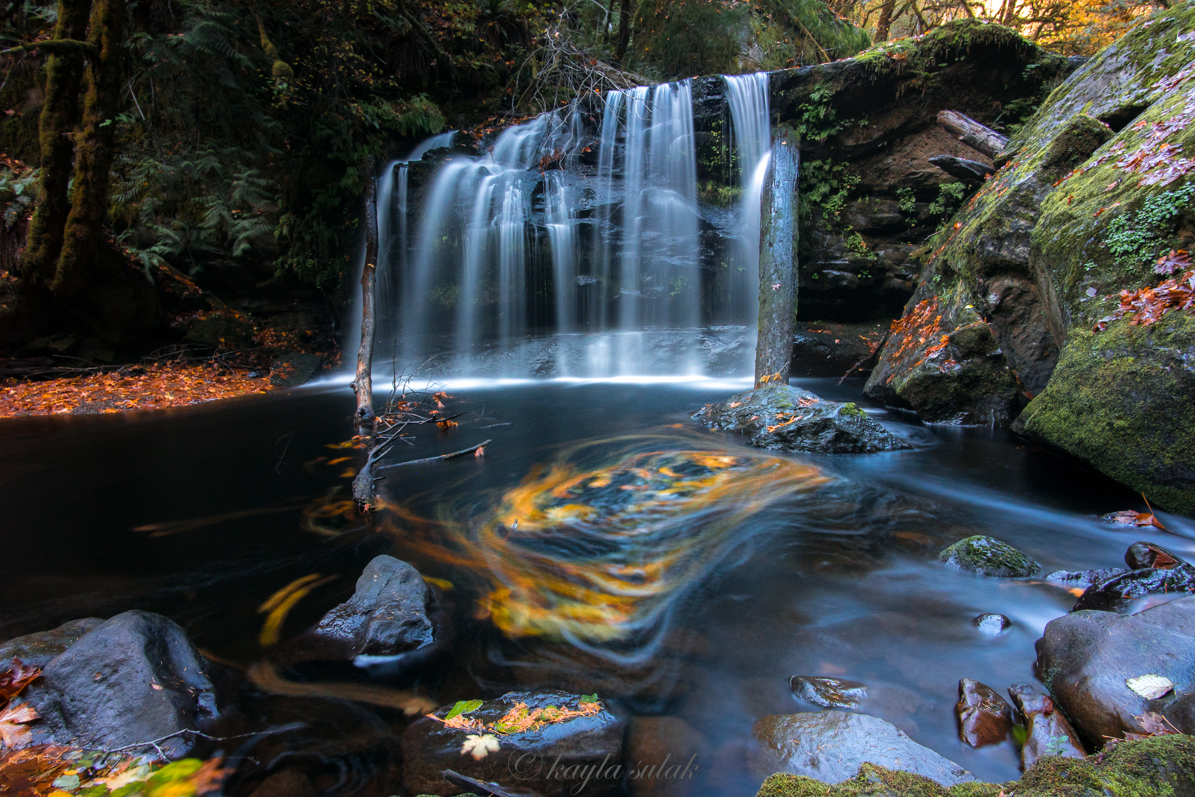 "Autumnal Eddy Swirls"