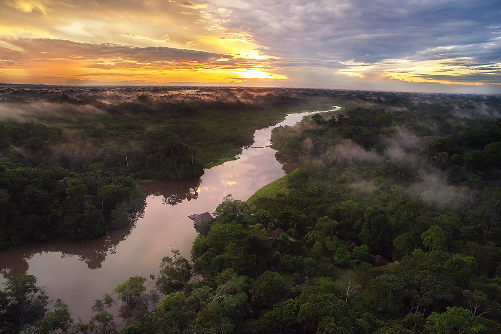 amazon ecuador.jpeg