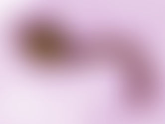 Ebola, la menace majeure du XXIème siècle ? 