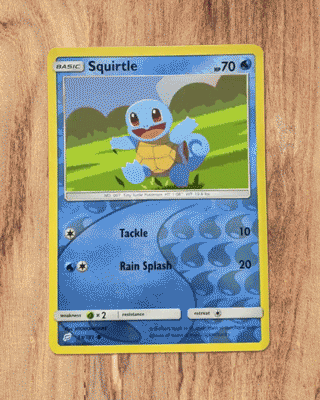 eBay_AO_SquirtleCard.gif