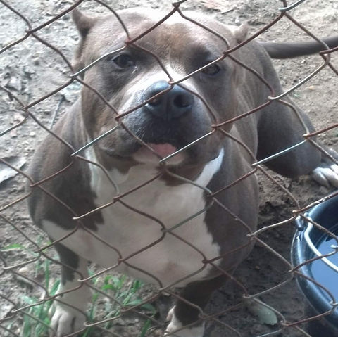 Biggy Smalls 8-22-22.JPG