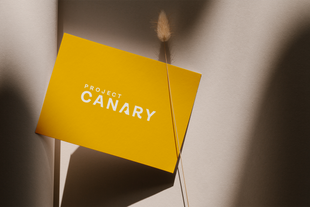 Graphic Design for Eco Tech Brand