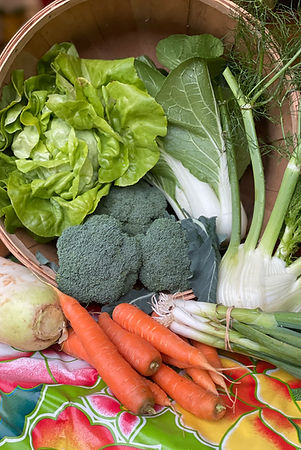 Fall CSA