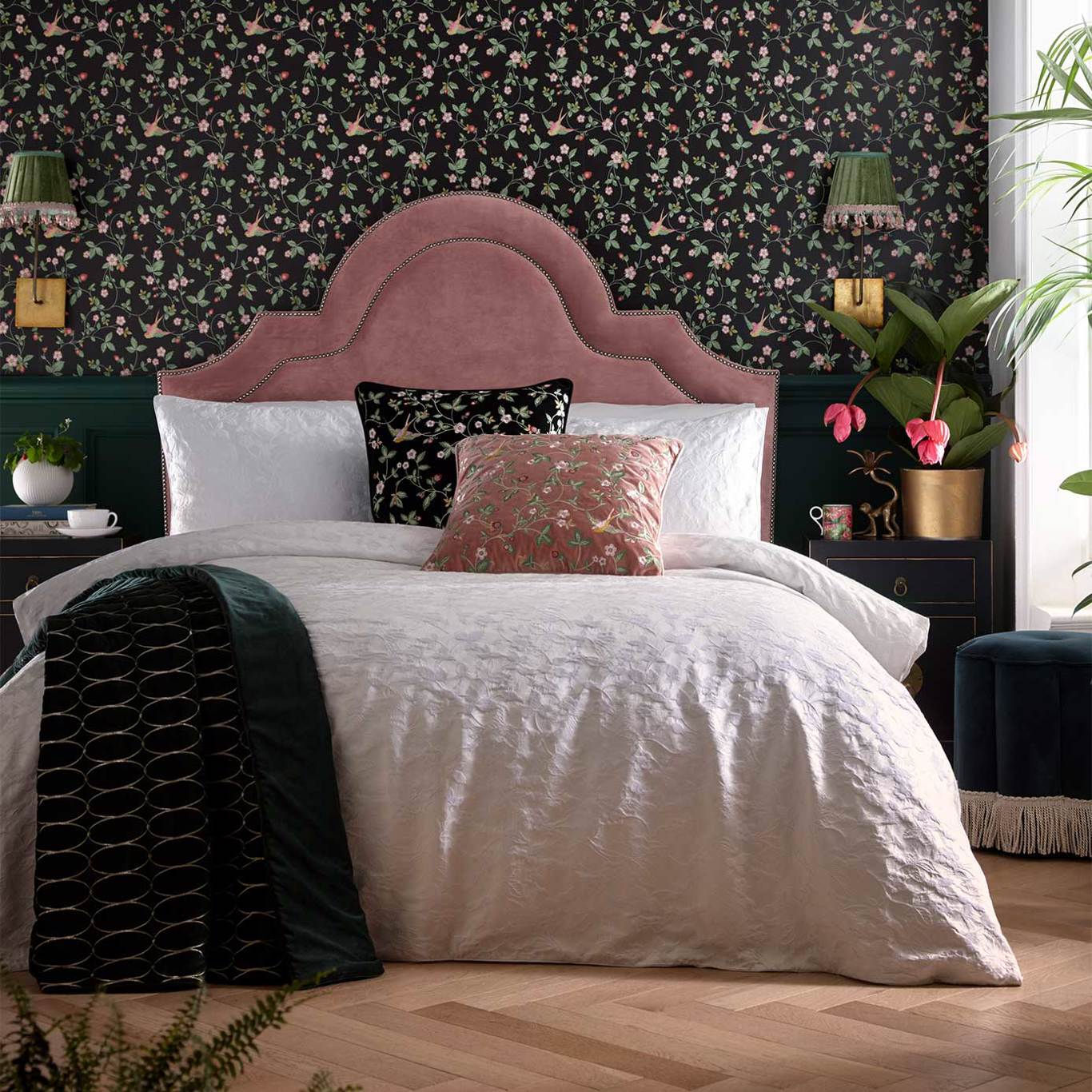 תותי פרא - ציפה לשמיכה