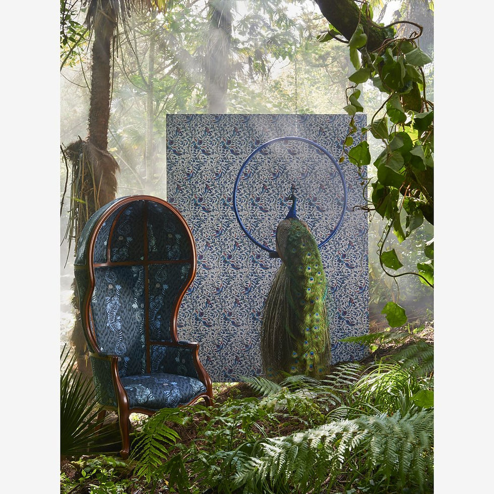 תמונה ממוזערת: טיגריס קטיפה פליים