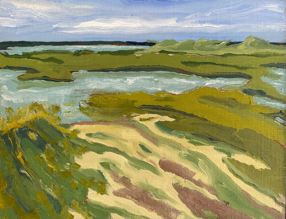 11AM at The Salt Marsh, Provincetown, Massachusetts