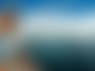 Cremação 🪦 Grupo Bosque da Paz