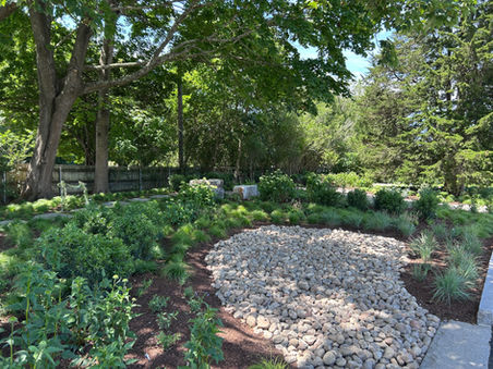 Rain Garden Makes a Splash in Newport