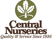 CNI Logo StackQS.jpg