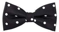 Bow tie for cat