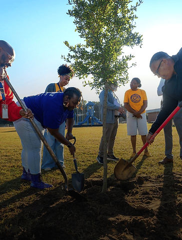 Website - Keep Trees Standing (1)_edited
