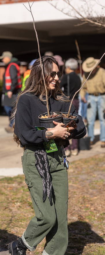 DC Virgo x Cape Fear Trees x Brinker Media House - Feb 2026 Tree Giveaway Photos-131 (1).j