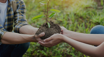 Planting a Tree_edited.jpg