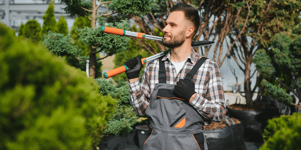 Website - Keep Trees Standing (29).png