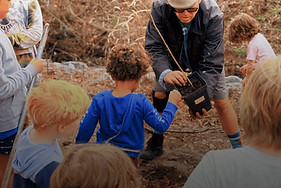 Website - Keep Trees Standing (2)_edited
