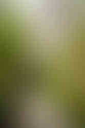 Glenveagh National Park and Castle