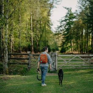 Promenade éducative. Un homme et son chien en laisse se promènent ensemble le long d'un chemin en forêt