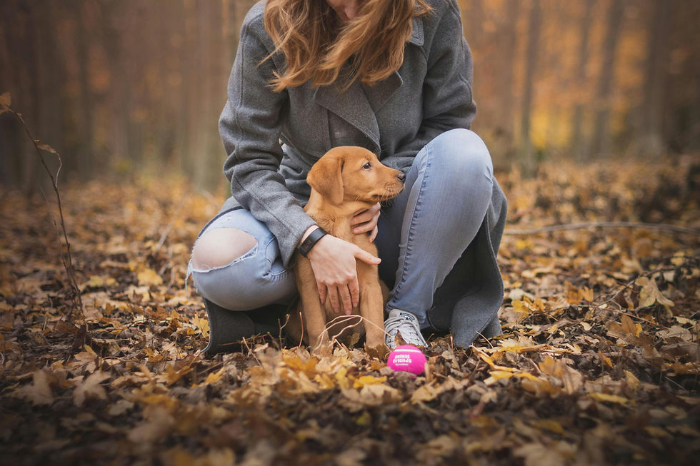 Une femme accroupie caresse son chiot Labrador parmi les feuilles d'automne.