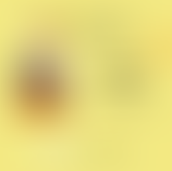 Da Ideia à Loja: Mulheres que Transformam a Periferia - Podcast Empreendendo na Periferia #11