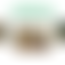 Novos modelos de negócios pautados em sustentabilidade