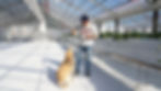 愛犬といちご狩りの風景