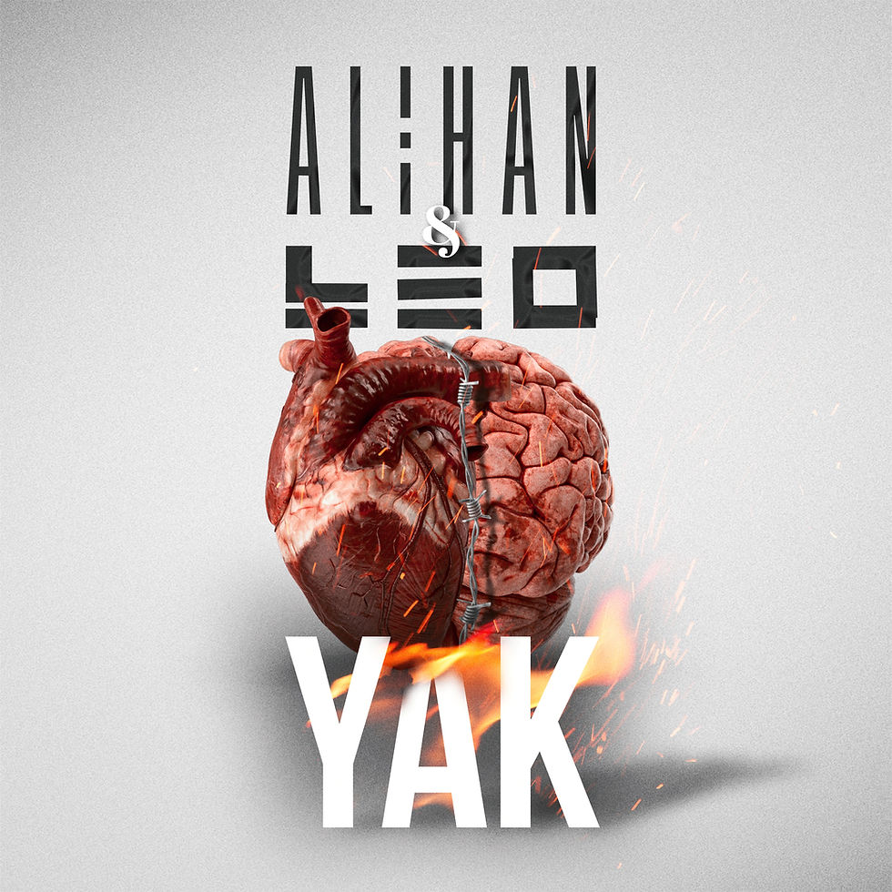 Alihan - YAK ( feat LEO ) COVER (1).JPG