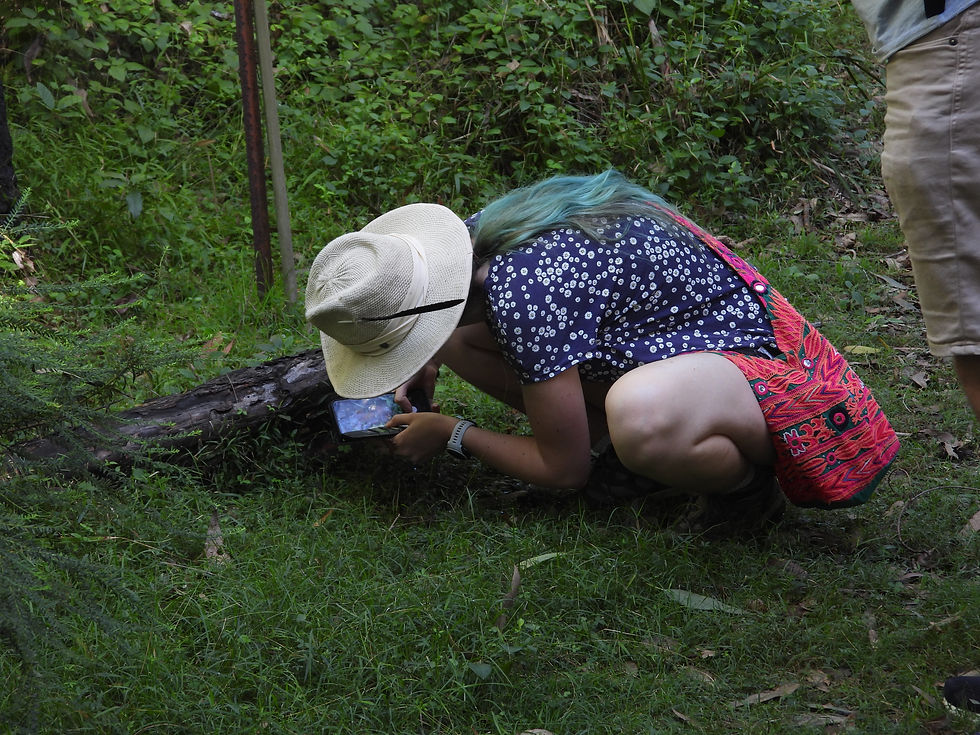 iNaturalist Fungi Workshop