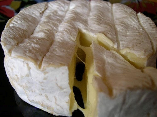 Camembert Masterclass at Tilba Dairy