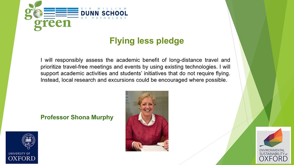 Flying less Pledge by Shona Murphy. Poster designed by Saroj Saurya