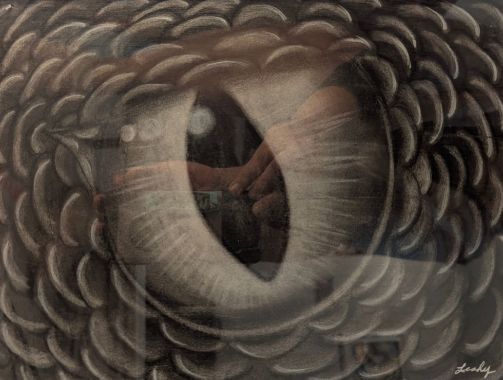 Dragon Eye