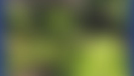 Domingo (21) é dia de mutirão na horta do Condomínio Moradas do Imbuí