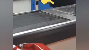 Baratas em caixa de atendimento de um supermercado na Boca do Rio