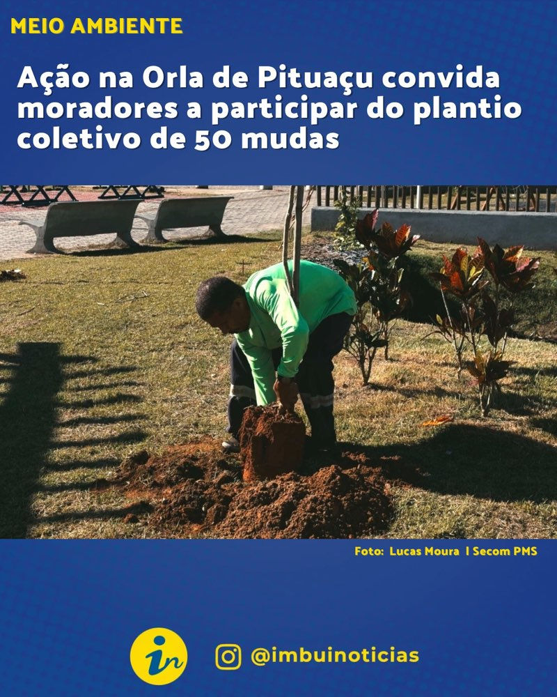 Ação na Orla de Pituaçu convida moradores a participar do plantio coletivo de 50 mudas
