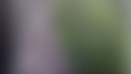 Congestionamento na rua dos Colibrís no fim da tarde