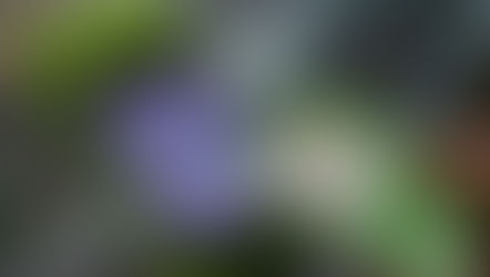 Novas regras para vales-alimentação e refeição entram em vigor