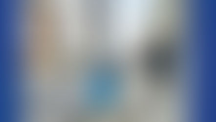 Rua dos Pintassilgos: papeleira danificada e postes sem iluminação