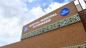 Hospital Veterinário de Salvador realiza mutirão de agendamento para castração de cães e gatos