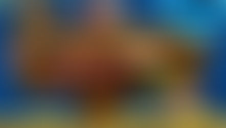 14° Edição do ForroJão acontece hoje  (17)