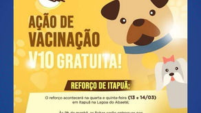Acontece a partir de hoje (13) o reforço de vacinação V10 gratuita para cães em Itapuã