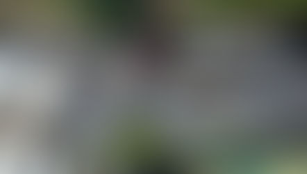 Moradores pedem sinalização na rotatória de acesso a Estrada do Curralinho