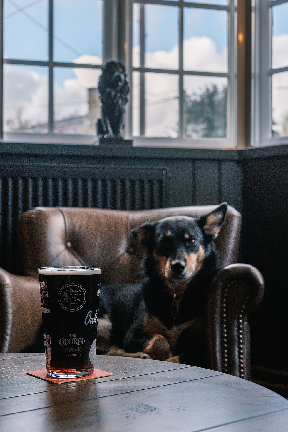 Red Lion Yarnton Dog