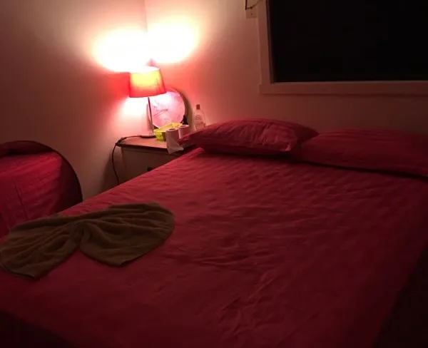 Opening Hours Rainbow Garden