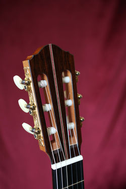 Enrico Bottelli 2020