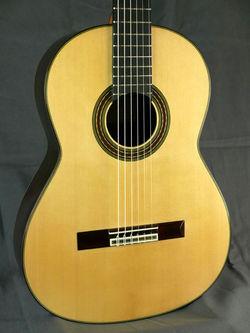 Leonard Plattner Guitar