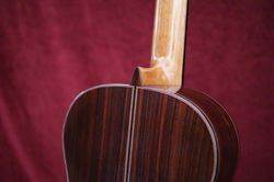 Enrico Bottelli 2020