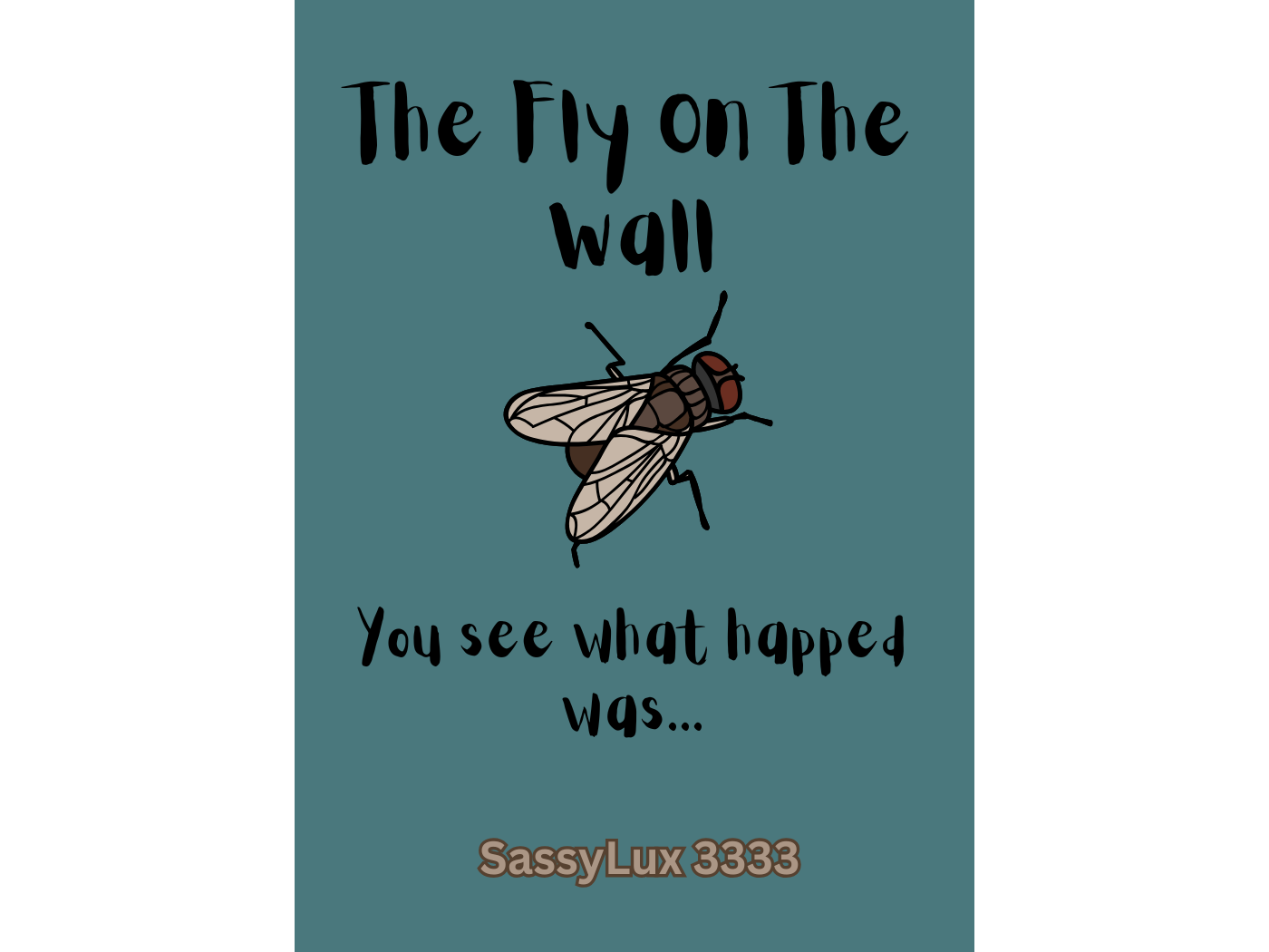 The Fly On The Wall - Clarifying situations oracle