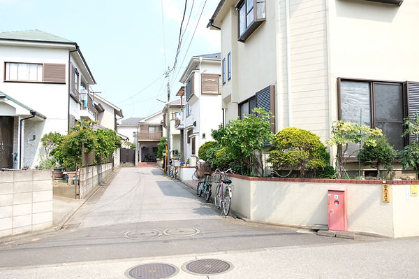 <script>console.error(